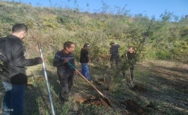 乡村振兴工作动态（第163期）