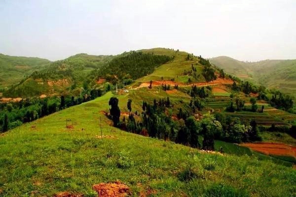 乡村振兴工作动态 (第141期)