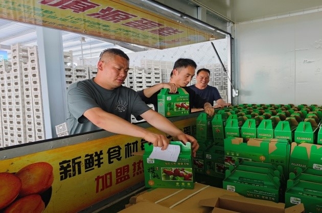 乡村振兴工作动态（第169期）