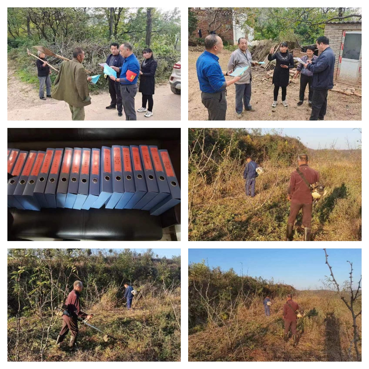 乡村振兴工作动态 (第139期)