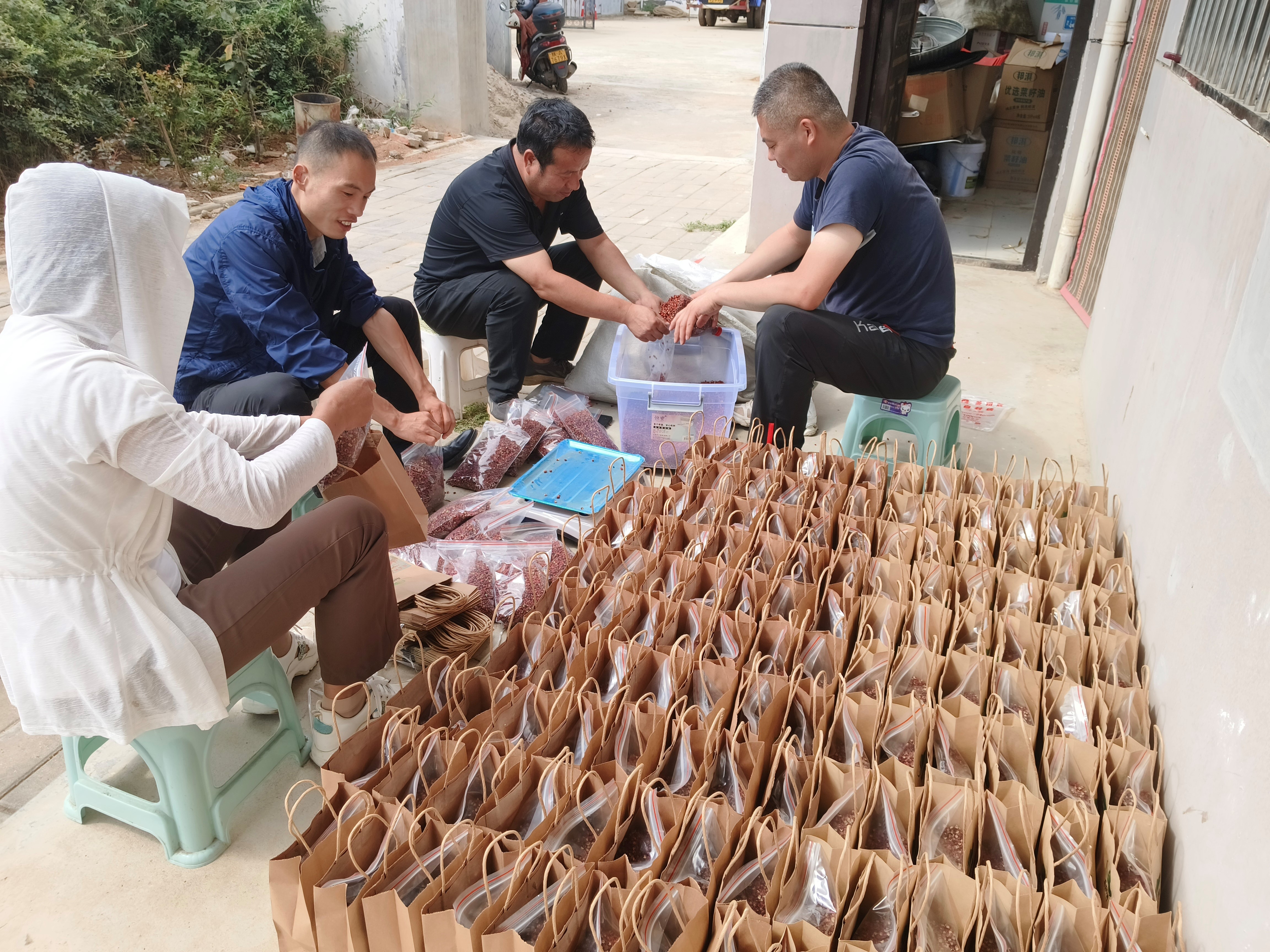 乡村振兴工作动态（第161期）