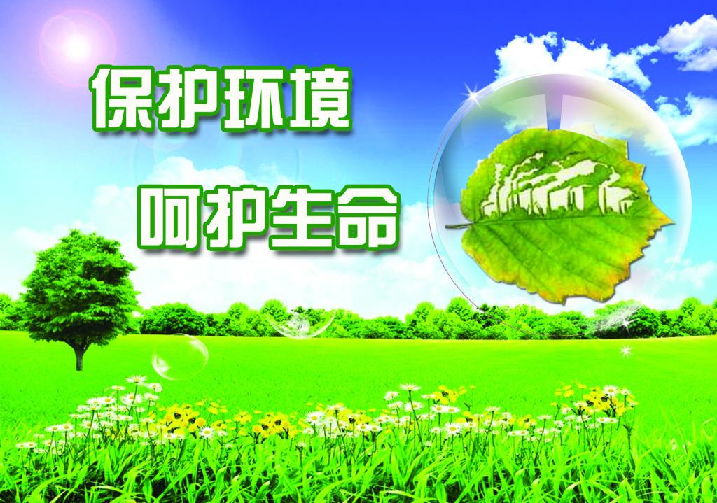 秦岭生态保护｜赵一德：持之以恒保护秦岭生态环境 全力以赴保障群众生命安全