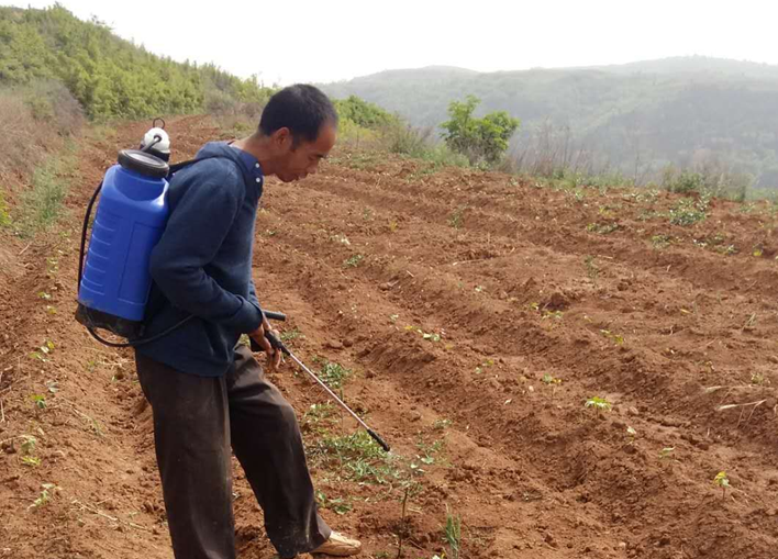 1558344304124077.png 1558344304124077.png